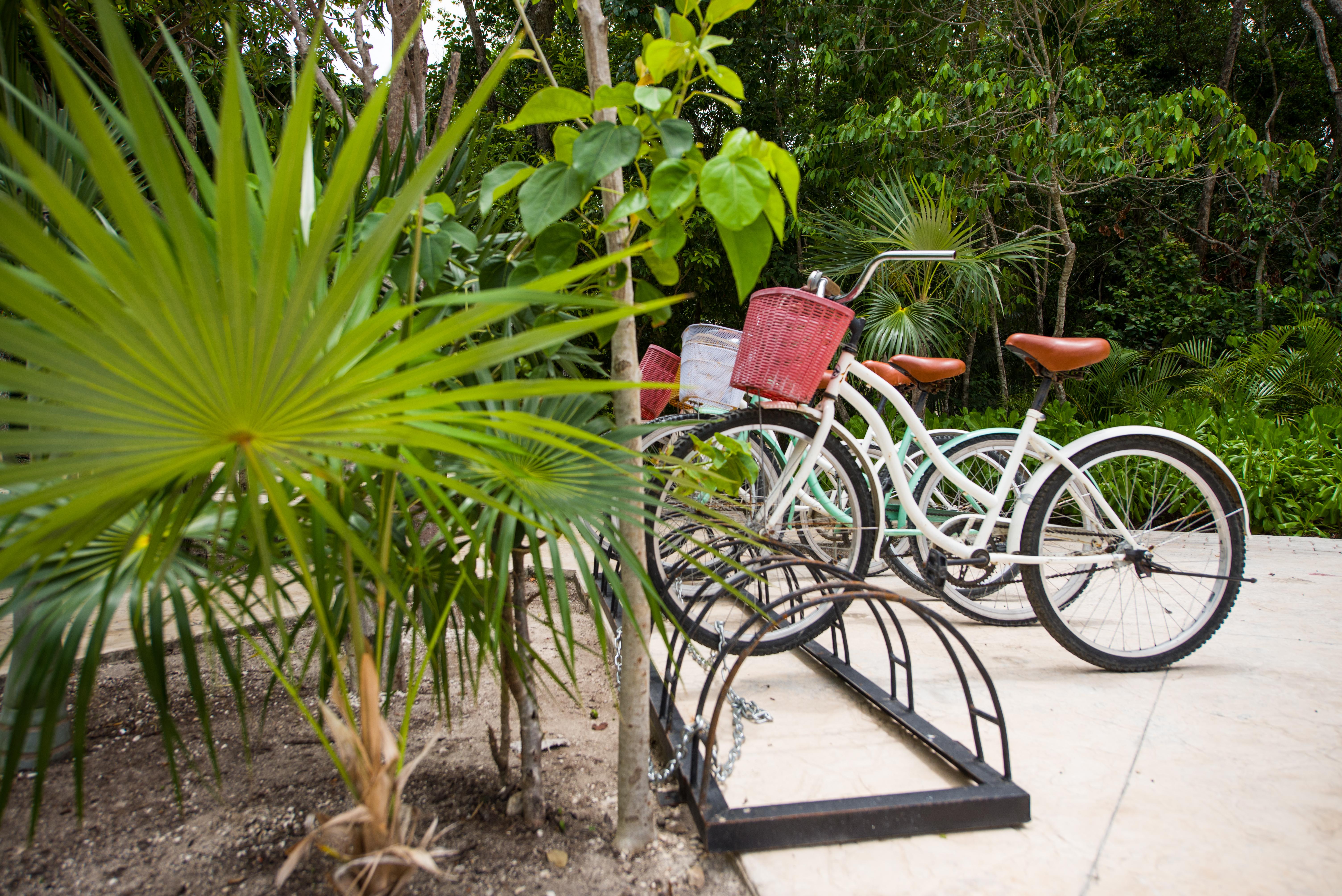 Naay Tulum Curamoria Collection Eksteriør bilde