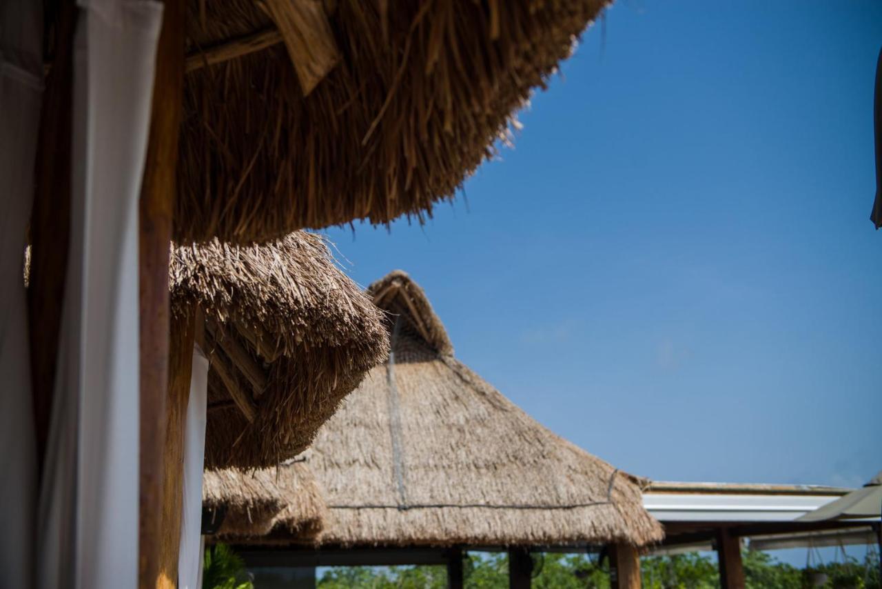 Naay Tulum Curamoria Collection Eksteriør bilde